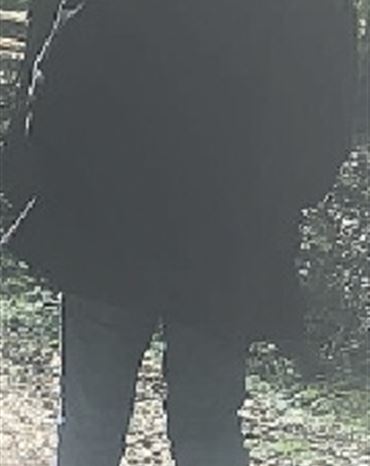 Profilbild Werner Deis