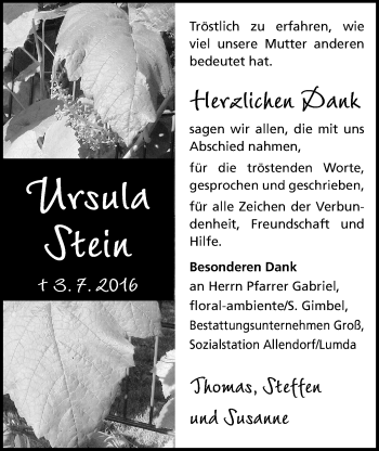 Traueranzeige von Ursula Stein von Allendorfer Mitteilungen