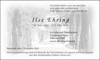 Traueranzeige von Ilse Ehring von Wetterauer Zeitung, Wetterauer Zeitung
