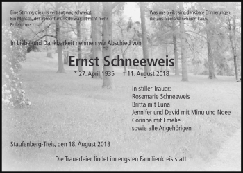 Traueranzeige von Ernst Schneeweis von Giessener Allgemeine, Alsfelder Allgemeine