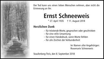 Traueranzeige von Ernst Schneeweis von Giessener Allgemeine, Alsfelder Allgemeine