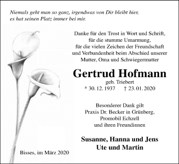 Traueranzeige von Gertrud Hofmann von Alsfelder Allgemeine, Wetterauer Zeitung