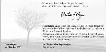 Traueranzeige von Diethard Heyn von Giessener Allgemeine, Alsfelder Allgemeine