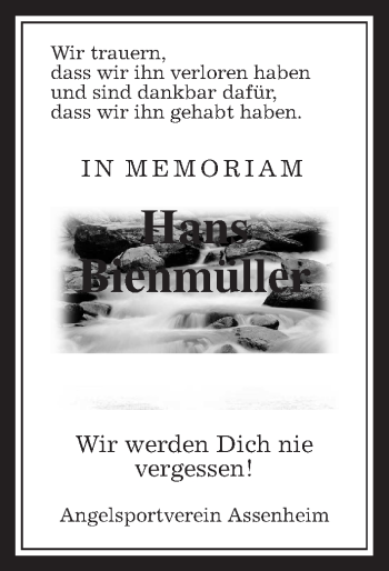 Traueranzeige von Hans Bienmüller von Wetterauer Zeitung