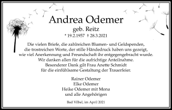 Traueranzeige von Andrea Odemer von Bad Vilbel/Karben