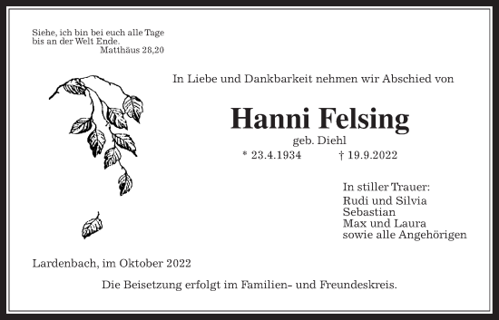 Traueranzeige von Hanni Felsing von Giessener Allgemeine, Alsfelder Allgemeine