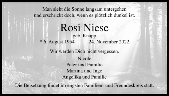 Traueranzeige von Rosi Niese von Usinger Anzeiger