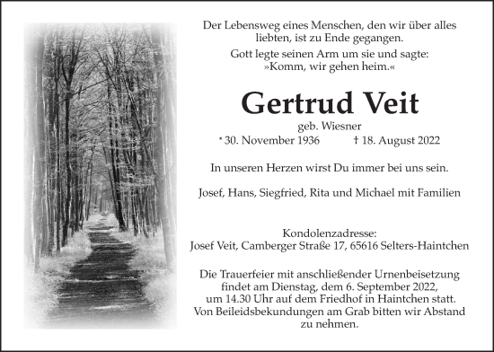 Traueranzeige von Gertrud Veit von Usinger Anzeiger