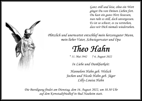 Traueranzeige von Theo Hahn von Wetterauer Zeitung
