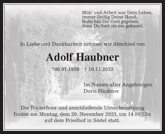 Traueranzeige von Adolf Haubner von Wetterauer Zeitung