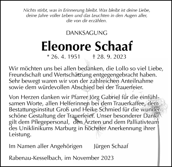 Traueranzeige von Eleonore Schaaf von Rabenauer Zeitung