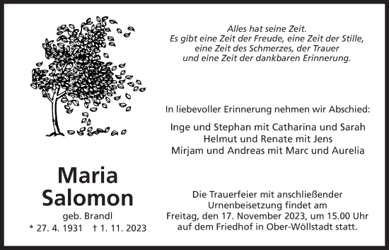 Traueranzeige von Maria Salomon von Wetterauer Zeitung