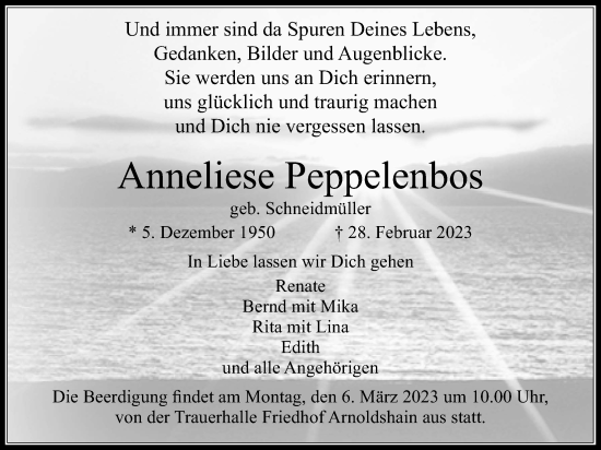 Traueranzeige von Anneliese Peppelenbos von Usinger Anzeiger