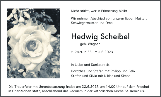 Traueranzeige von Hedwig Scheibel von Wetterauer Zeitung