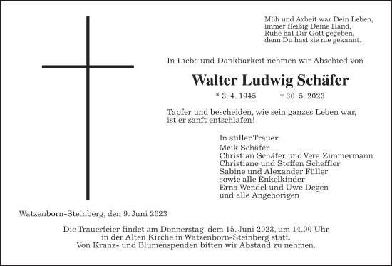 Traueranzeige von Walter Ludwig Schäfer von Pohlheimer Nachrichten