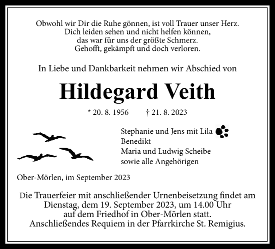 Traueranzeige von Hildegard Veith von Wetterauer Zeitung
