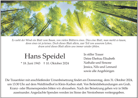 Traueranzeige von Hans Speidel von Wetterauer Zeitung
