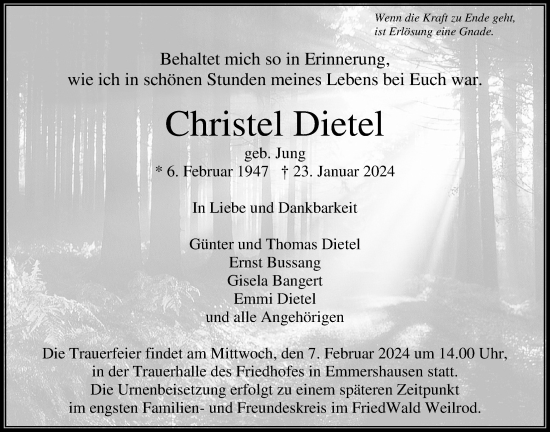 Traueranzeige von Christel Dietel von Usinger Anzeiger