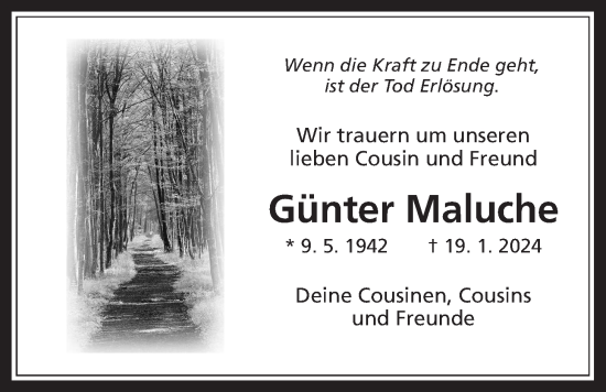 Traueranzeige von Günter Maluche von Usinger Anzeiger