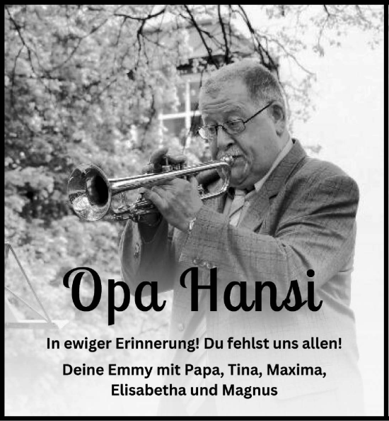 Traueranzeige von Hans Vollmöller von Lauterbacher Anzeiger
