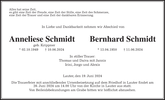 Traueranzeige von Anneliese Schmidt von Laubacher Anzeiger