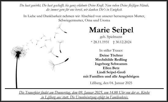 Traueranzeige von Marie Seipel von Kreis-Anzeiger