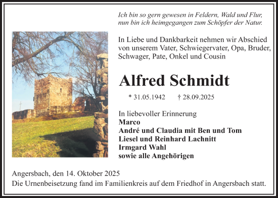 Traueranzeige von Alfred Schmidt von Lauterbacher Anzeiger