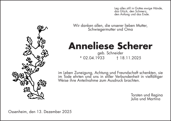 Traueranzeige von Anneliese Scherer von Wetterauer Zeitung