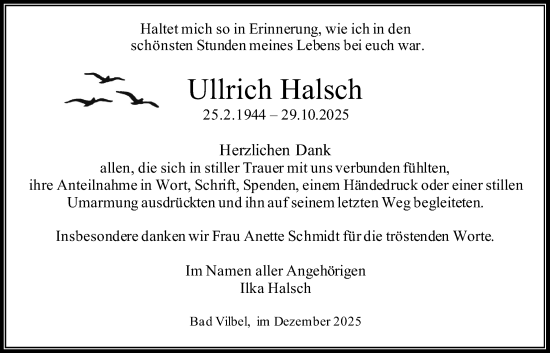 Traueranzeige von Ullrich Halsch von Bad Vilbel/Karben