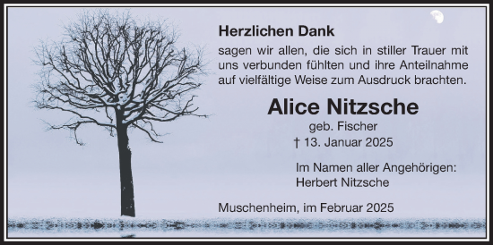 Traueranzeige von Alice Nitzsche von Licher Wochenblatt