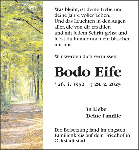 Traueranzeige von Bodo Eife von Wetterauer Zeitung