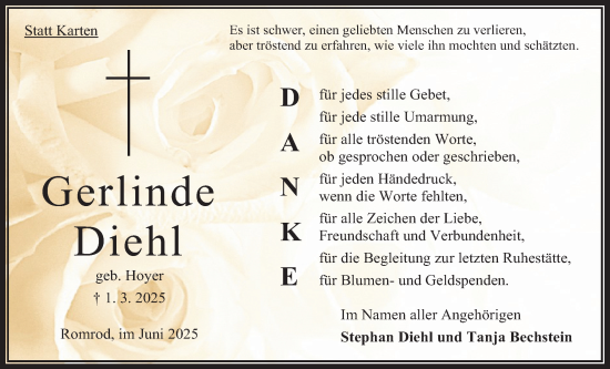 Traueranzeige von Gerlinde Diehl von Oberhessische Zeitung