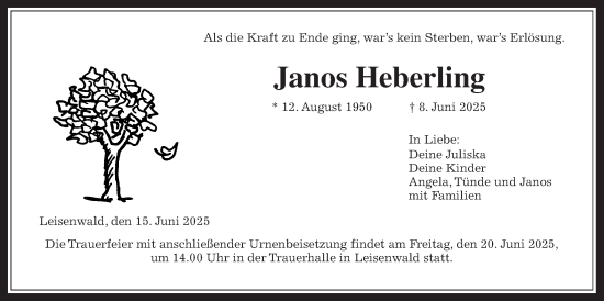 Traueranzeige von Janos Heberling 
