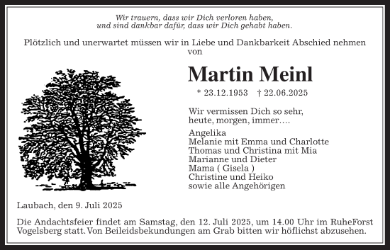 Traueranzeige von Martin Meinl von Laubacher Anzeiger
