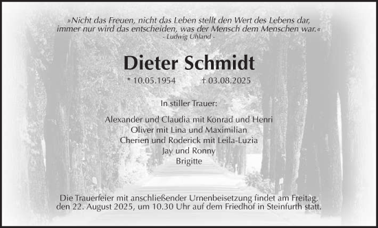 Traueranzeige von Dieter Schmidt von Wetterauer Zeitung