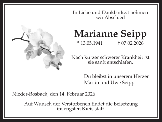 Traueranzeige von Marianne Seipp von Wetterauer Zeitung