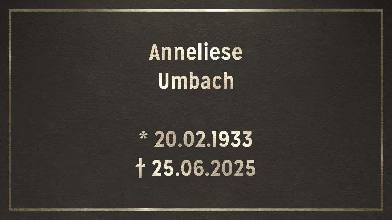  Videoanzeige 2