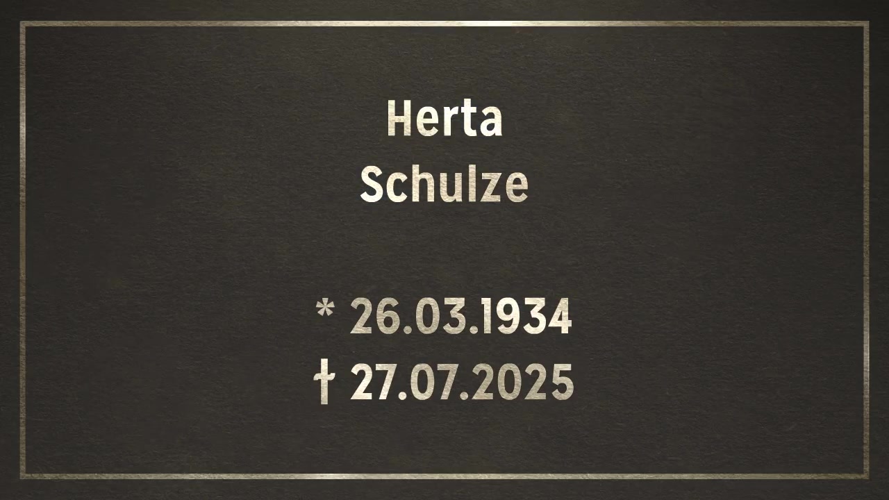  Videoanzeige 1